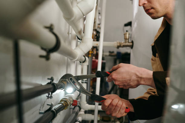 Best Residential Plumbing Services  in St Bonifacius, MN